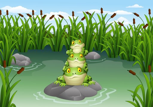 Cartoon frog stacked in the pond