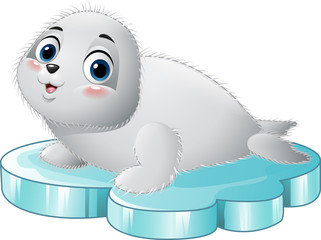 Cartoon baby seal on the floe