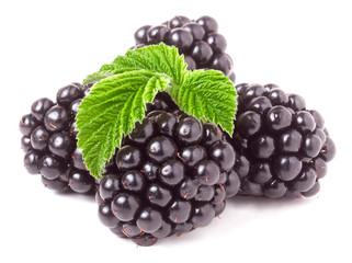 pile of blackberry with leaves isolated on white background