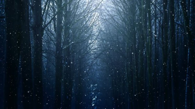 Dark winter background loop animation