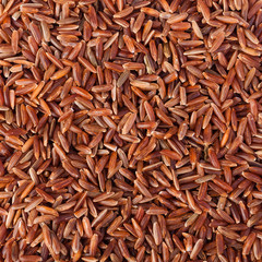 Natural rice Background