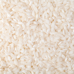 Natural rice Background
