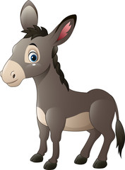 Cartoon happy donkey