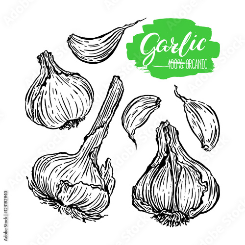 TÉLÉCHARGER A LA POURSUITE DE GARLIC VOSTFR GRATUITEMENT GARLIC DE POURSUITE VOSTFR GRATUITEMENT LA A TÉLÉCHARGER