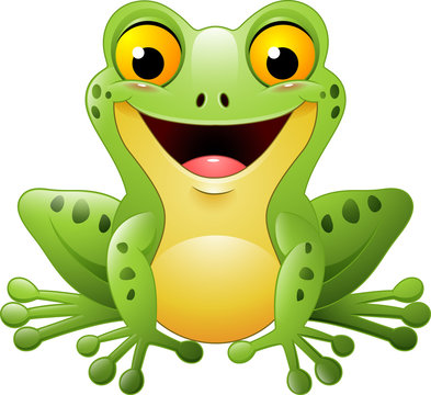 Frog Cartoon Images – Browse 52,477 Stock Photos, Vectors, and Video |  Adobe Stock