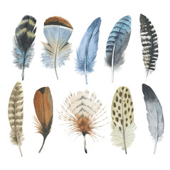 Aquarell Vogelfeder vom Flügel isoliert. Aquarell wilde Blume kann für Hintergrund, Textur, Wrapper-Muster, Rahmen oder Rand verwendet werden.