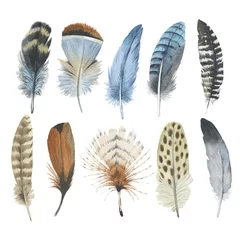 Fototapete Federn Aquarell Vogelfeder vom Flügel isoliert. Aquarell wilde Blume kann für Hintergrund, Textur, Wrapper-Muster, Rahmen oder Rand verwendet werden.