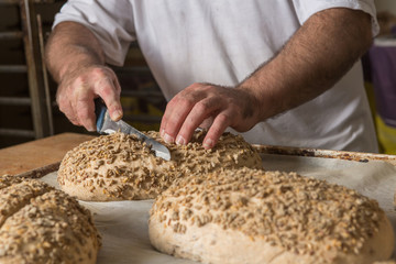 Raw leavened bread sprinkled with seeds. The baker decorates a knife breads on baking paper in a bakery. The concept of baking and pastry shops.