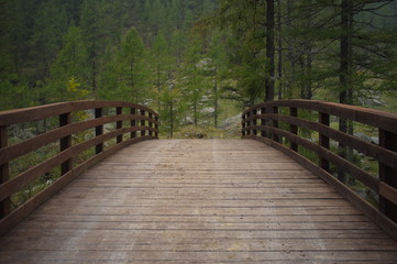 Ponte in legno