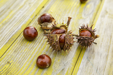 Chestnuts. Close-up