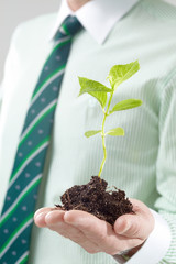 Image of a male hand holding a plant sapling in hand