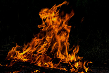 Fototapeta na wymiar fire flame bonfire spurts