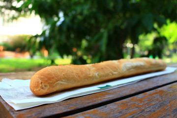 baguette in the garden with green and piece of bread blurry background