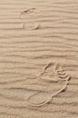 Fototapeta na wymiar The human foot on the sand 6