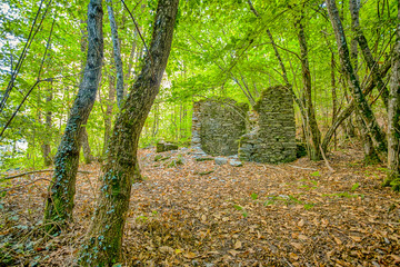 Fototapeta premium Abandoned house in the woods / old house / isolated / stone house / autumn / forest / fallen leaves