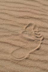The human foot on the sand 5