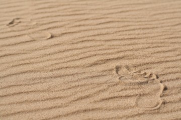 The human foot on the sand 4