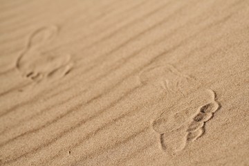 The human foot on the sand 3