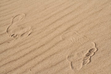 Fototapeta na wymiar The human foot on the sand 2