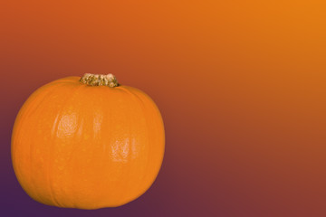 Pumpkin on Orange