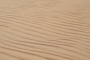 golden sand on the beach 9