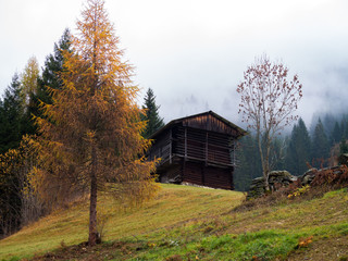 Plakat gelber Lärchen-Baum und Scheune in den alpinen Bergen