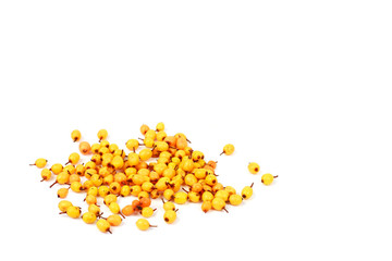 Sea buckthorn isolated on white background