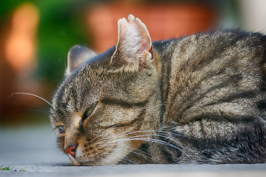 Time to wake up ... the new week has already started.