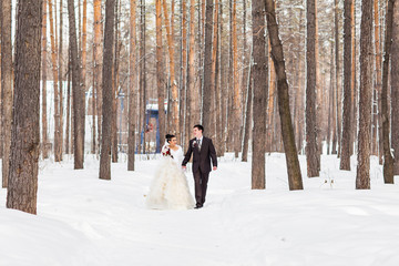 Fototapeta na wymiar Wedding in winter. Newlyweds in the snowy park