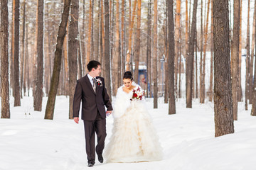 Winter wedding. Beautiful young couple bride and groom