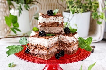 Chocolate and cream cake