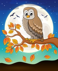 Fototapeta premium Owl topic image 6