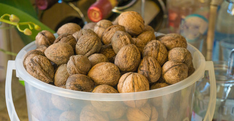 freshly harvested walnuts in a plastic bucket