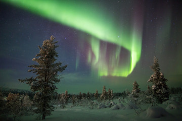 Northern Lights in Lapland, Finland.