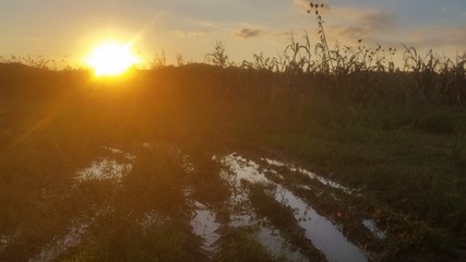 Pozzanghera nel campo