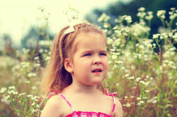  little girl on the meadow