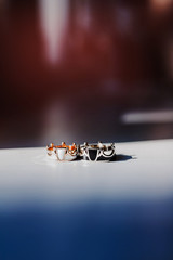 Wedding golden rings in the shape of a crown with jewels