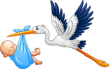 Cartoon stork with baby boy