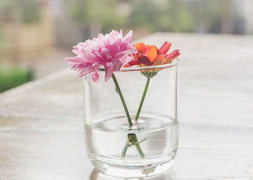 Chrysanthemum flower on the glass.