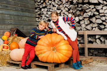 Little brother and sister on farm market choosing halloween pumpkin