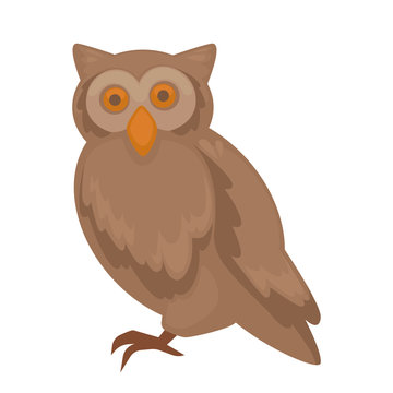 Vector owl character. isolated on white