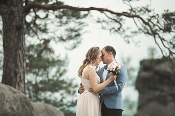 Gorgeous bride, groom kissing and hugging near the cliffs with stunning views