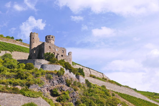 Burg Ehrenfels im Rheingau