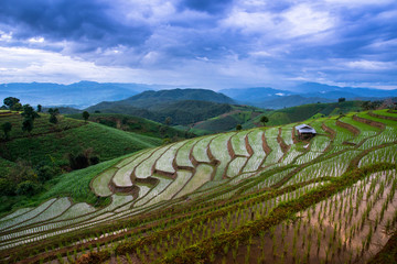 Ban Bong Piang,Step field North of Thailand