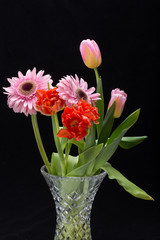 colorful bouquet of fresh spring tulips and gerbera flowers