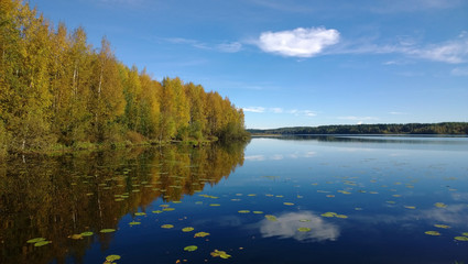 The reflection of clouds and forest in the calm lake in autumn