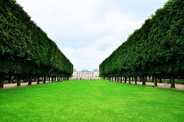 Obraz premium ormanlı yol