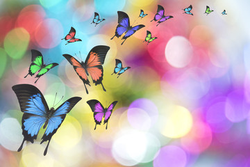 Beautiful butterfly on Christmas background