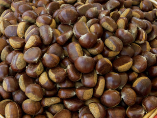 chestnuts