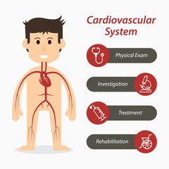 Cardiovascular system and medical line icon